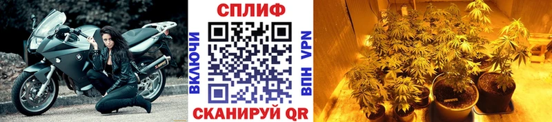 мориарти как зайти Фрязино Бошки марихуана Amnesia