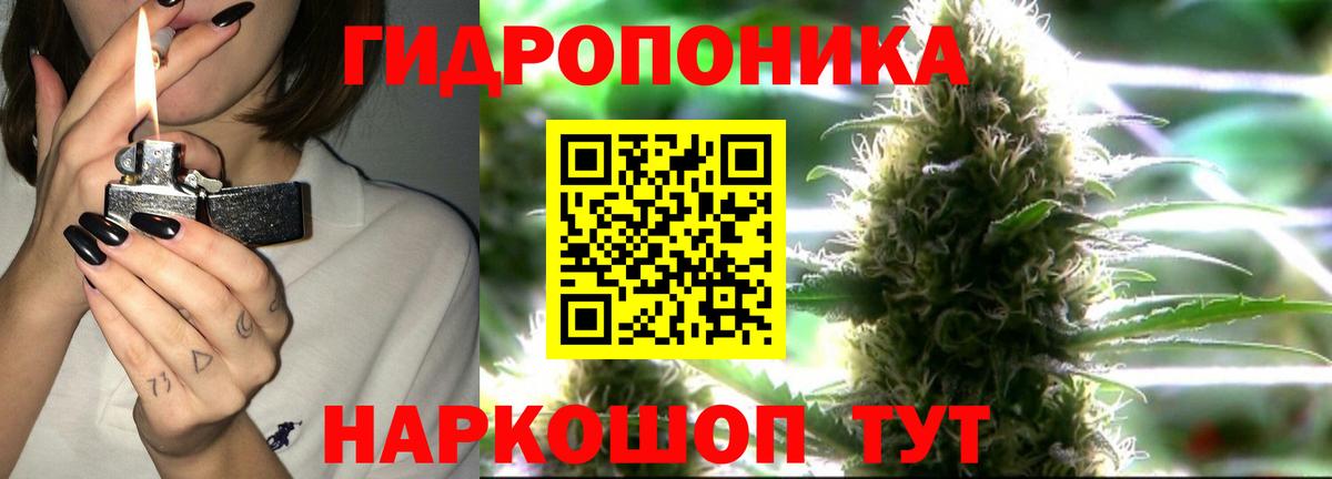 Фрязино  Шишки марихуана OG Kush  Вход с VPN  Каннабис MAZAR  МАРИХУАНА MAZAR 